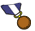 Bronze Medal